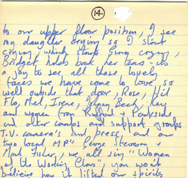 Page 14 of the same handwritten letter, written in all blue ink.